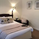 Astor بيت شباب يورك